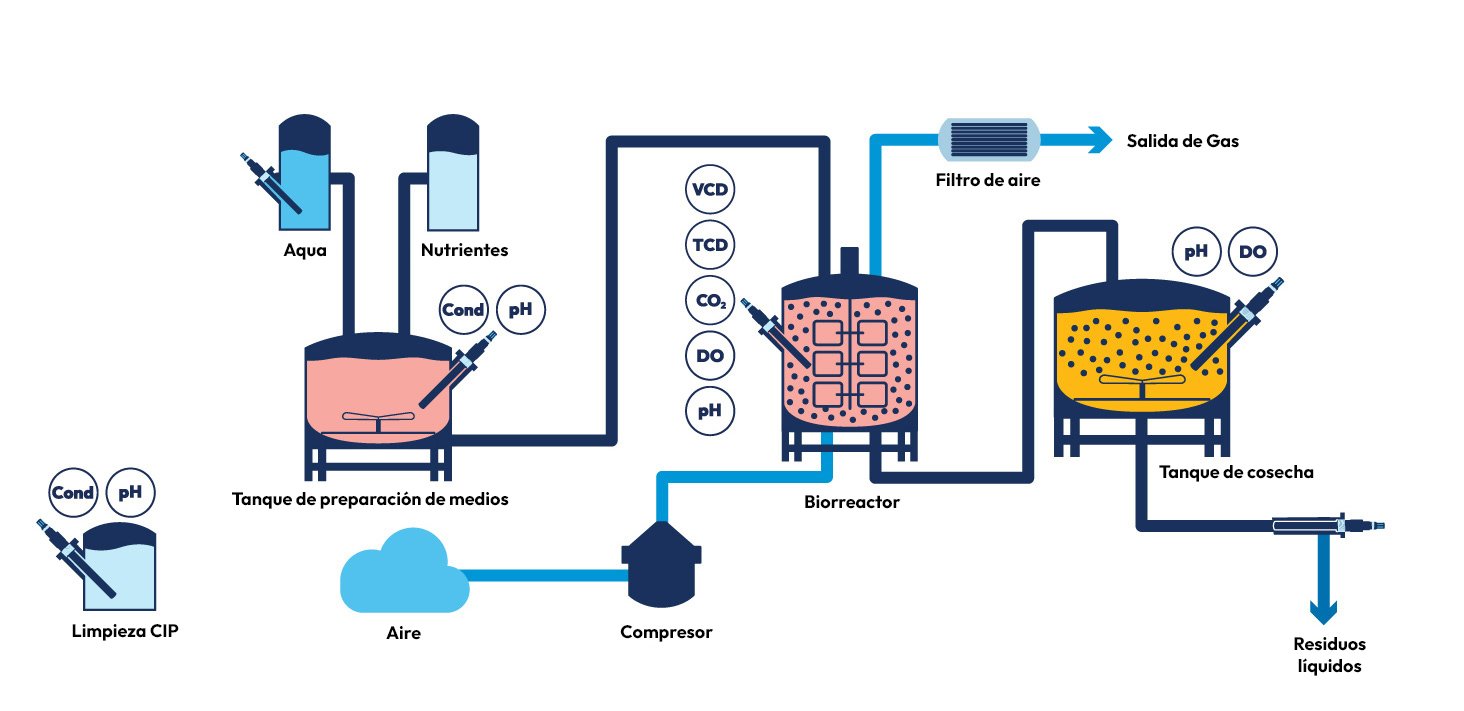 Biopharma-Upstream-process-graph-Spanish