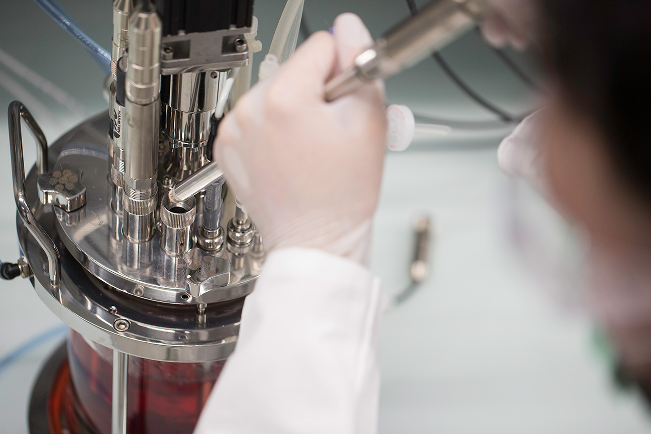 Hamilton-Installation-Support